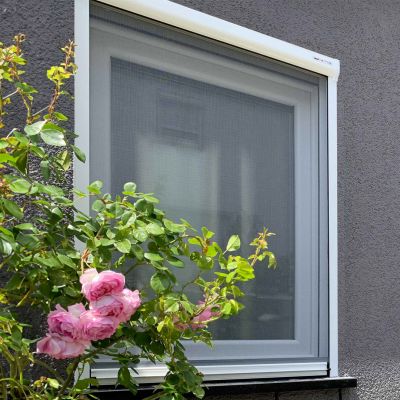 Insetto Fliegengitterrollo | für Fenster | Klemmoption