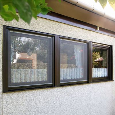 Fliegengitterrollos an drei Fenstern