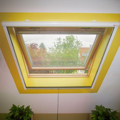 Insetto Insektenschutzrollo | für Dachfenster | stabile Ausführung