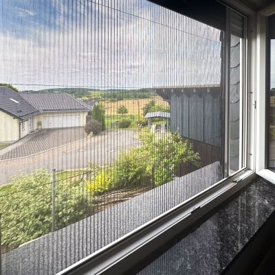 Fliegengitterplissee am Fenster. Rolladen leicht geschlossen
