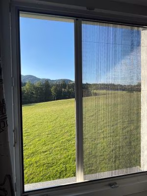 Insektenschutz Plissee für Fenster