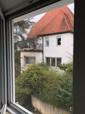 Fliegengitter Bausatz auf Maß | für Fenster | Typ: T-F-KS