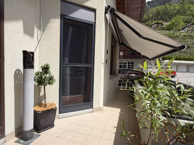 Fliegengittertüre Komplettes mit Rahmen fix & fertig - super Qualität und Aussehen, schnelle Lieferung - einfache Montage