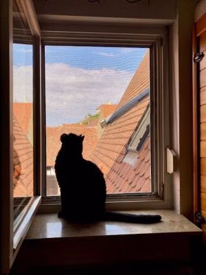 FlairlinePlus mit PetScreen ...